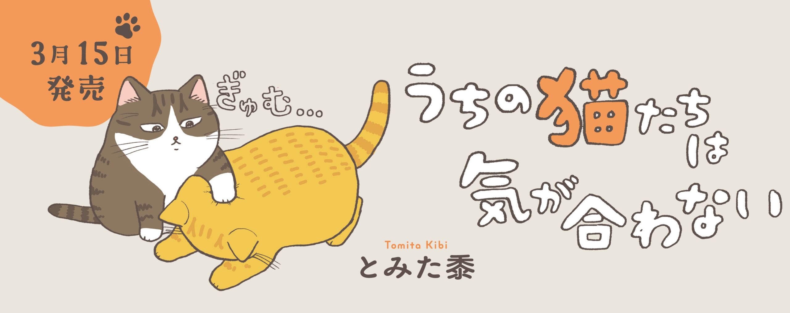 うちの猫たちは気が合わない